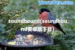 soundhound(soundhound安卓版下载)