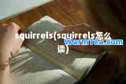 squirrels(squirrels怎么读)