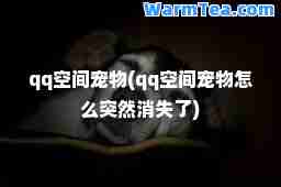 qq空间宠物(qq空间宠物怎么突然消失了)