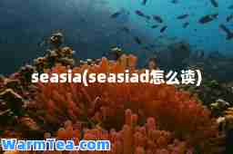 seasia(seasiad怎么读)