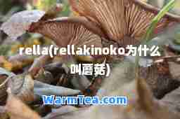 rella(rellakinoko为什么叫蘑菇)