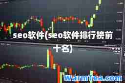 seo软件(seo软件排行榜前十名)