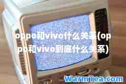 oppo和vivo什么关系(oppo和vivo到底什么关系)