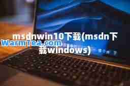 msdnwin10下载(msdn下载windows)