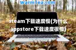 steam慢(为什么appstore很慢)