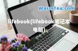 lifebook(lifebook笔记本电脑)