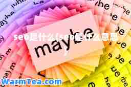 seo是什么(seo是什么意思)