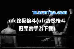 ufc格斗(ufc格斗冠军赛手游下载)