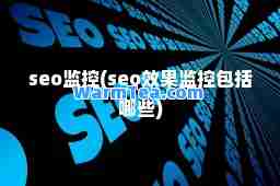 seo监控(seo效果监控包括哪些)