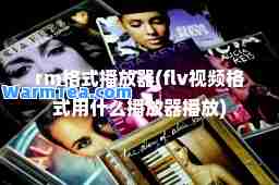 rm格式播放器(flv视频格式用什么播放器播放)