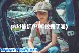 pdd被抓(PDD被抓了嘛)