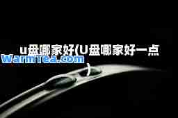u盘哪家好(U盘哪家好一点)