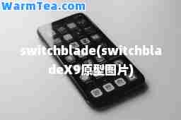 switchblade(switchbladeX9原型图片)