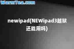 newipad(NEWipad3越狱还能用吗)