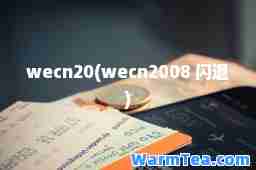 wecn20(wecn2008 闪退)