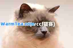 wccf(wccf猫赛)