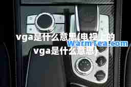 vga是什么意思(电视上的vga是什么意思)