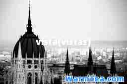vista(vistas)