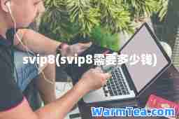 svip8(svip8需要多少钱)