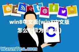 win8中文版(win8中文版怎么升级为专业版)