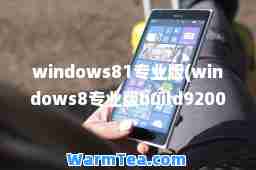 windows81专业版(windows8专业版build9200)