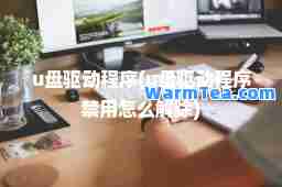 u盘驱动程序(u盘驱动程序禁用怎么解除)