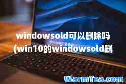 windowsold可以删除吗(win10的windowsold删掉有影响吗)