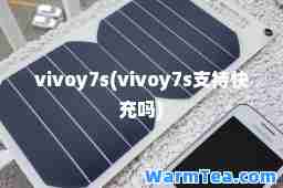vivoy7s(vivoy7s支持快充吗)