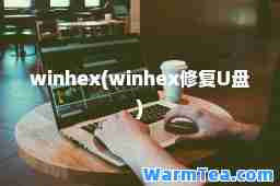 winhex(winhex修复U盘)