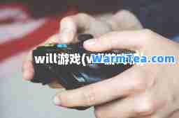 will游戏(wii游戏机)