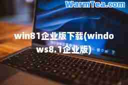 win81企业版下载(windows8.1企业版)