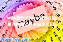wps是什么(wps是什么意思路由器上的wps怎么用)