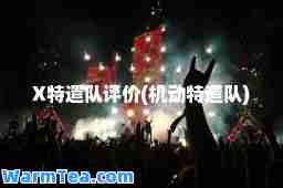 X特遣队评价(机动特遣队)