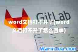 word文档打不开了(word文档打不开了怎么回事)
