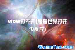 wow打不开(魔兽世界打开没反应)