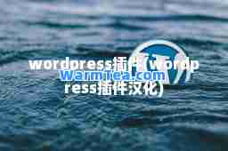 wordpress插件(wordpress插件汉化)