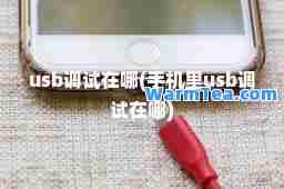 u调试在哪(手机里u调试在哪)