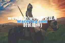 wow历史(wow历史战斗时长插件)