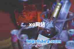 xo网站
