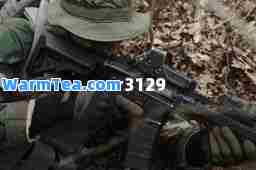 war3129