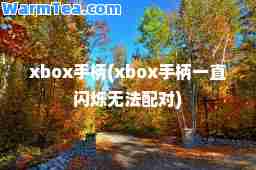 xbox手柄(xbox手柄一直闪烁无法配对)