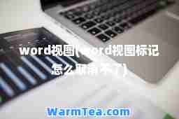 word视图(word视图标记怎么取消不了) word视图(word视图标记怎么取消不了)