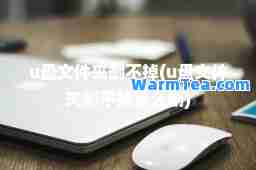 u盘文件夹删不掉(u盘文件夹删不掉怎么删)