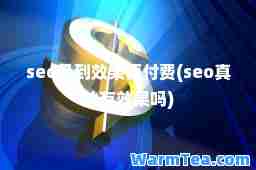 seo见到效果再付费(seo真的有效果吗)