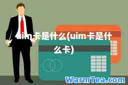 uim卡是什么(uim卡是什么卡)