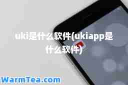 uki是什么软件(ukiapp是什么软件)