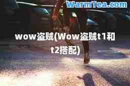 wow盗贼(Wow盗贼t1和t2搭配)