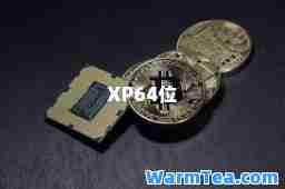 XP64位