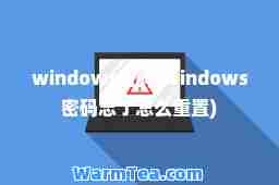 windows密码(windows密码忘了怎么重置)