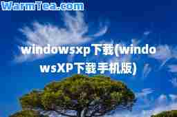 windowsxp下载(windowsXP下载手机版)